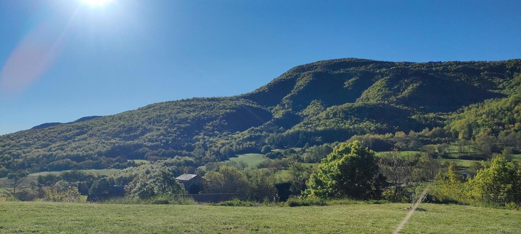 Au Toit Des 4 Saisons Villa Venterol  ภายนอก รูปภาพ